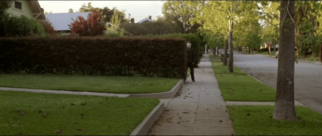 Halloween (1978, Compass International)