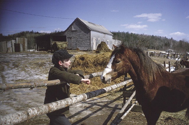 Pit Pony (1997, Cochran Entertainment)