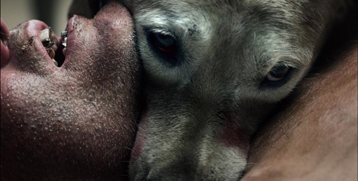 The ABCs of Death (2012, Magnet Releasing)