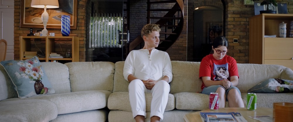 The Deflowering of Eva Van End (2012, Film Movement)