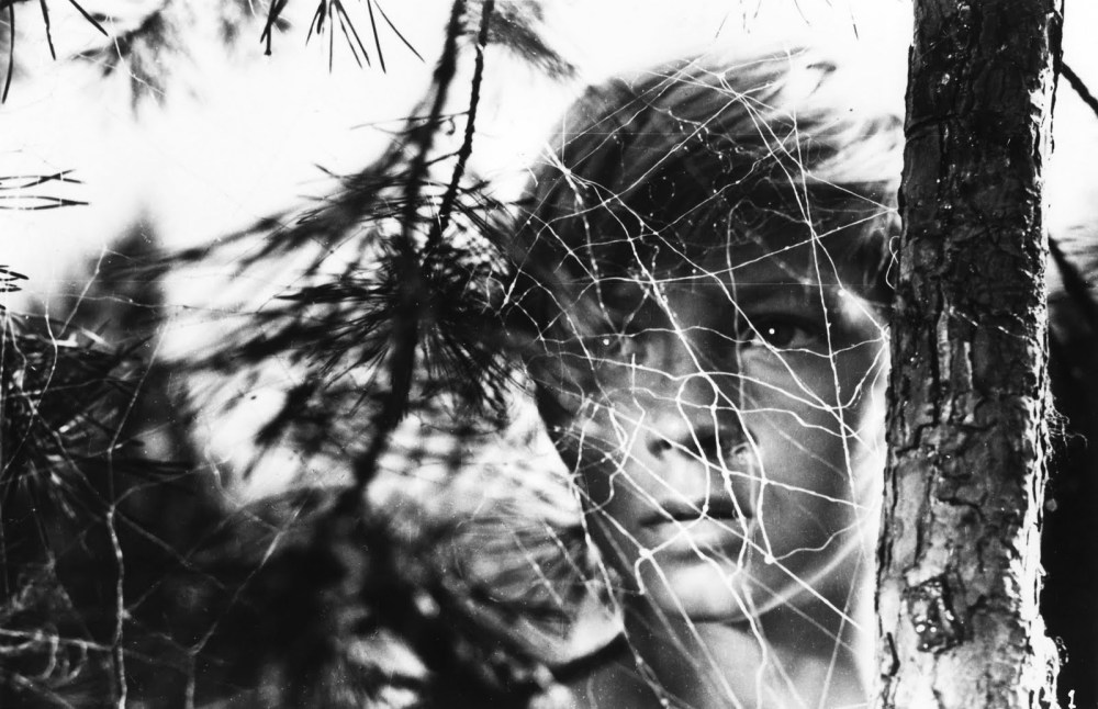 Ivan's Childhood (1962, Janus Films)