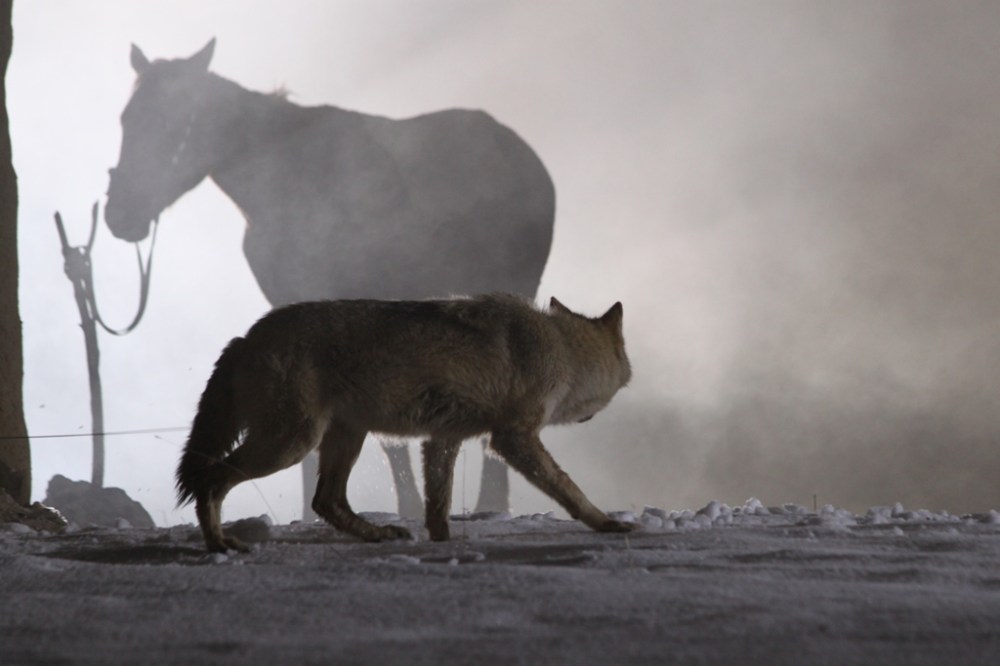 The Old Man (2013, Kazakh Film Studio)