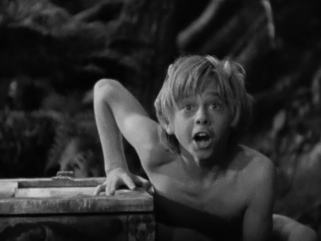 A Midsummer Night's Dream (1935, Warner Bros.)