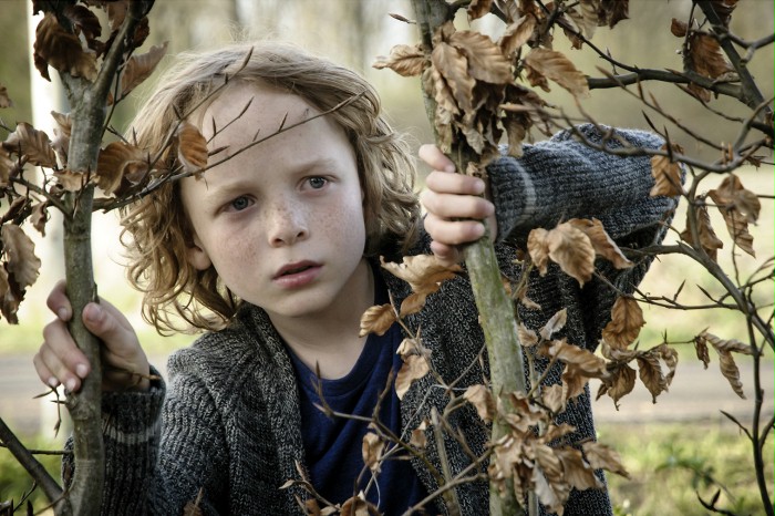 Finn (2013, Attraction Distribution)