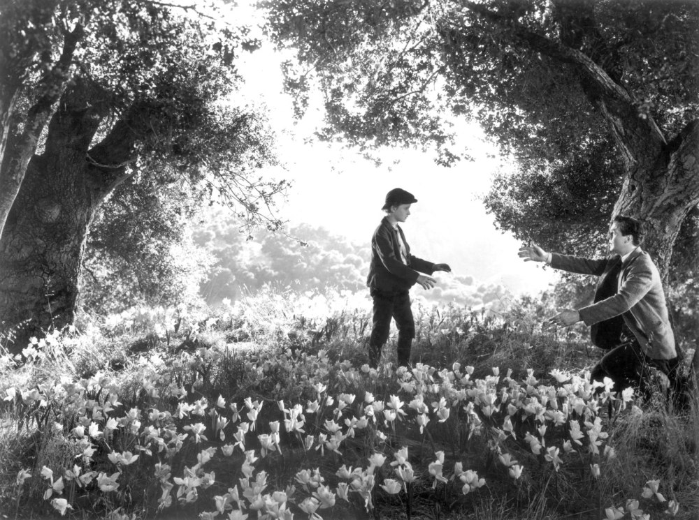 How Green Was My Valley (1941, 20th Century Fox)