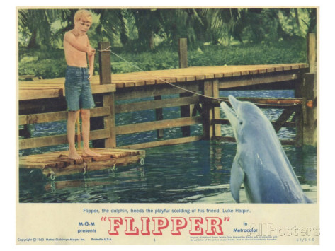 Flipper (1963, MGM)