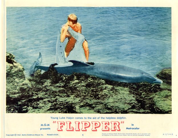 Flipper (1963, MGM)