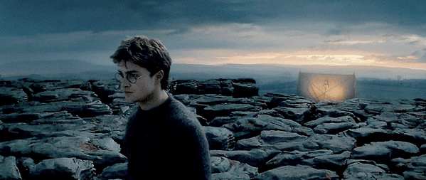 Harry Potter and the Deathly Hallows, Part 1 (2010, Warner Bros.)