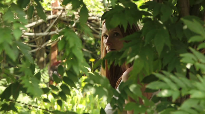 The Summer House (2014, Artsploitation)