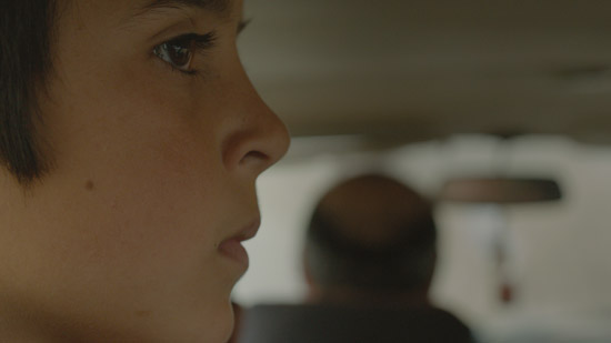 Sivas (2015, Coloured Giraffes)