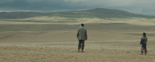 Sivas (2015, Coloured Giraffes)