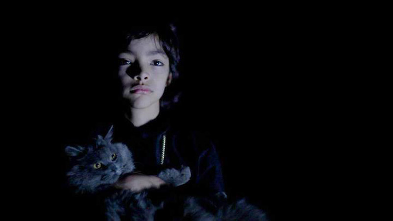 Children of the Night (2013, Artsploitation Films)