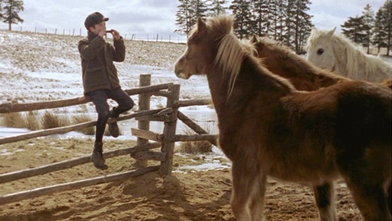 Pit-Pony-film-images-77b32252-6d3f-4bec-9dd7-ea85c7eb223